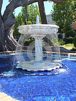 Fountain of Parque GenovÃÂ©s photo
