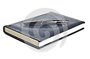 Fountain pen on diary