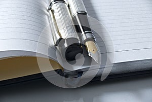 Fountain pen & diary
