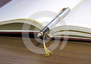 Fountain pen & diary