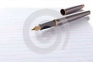 Fountain pen lying on page in a spiral bound notep