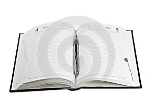 Fountain pen on opened diary