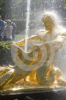 Fountain in Petrodvorets photo