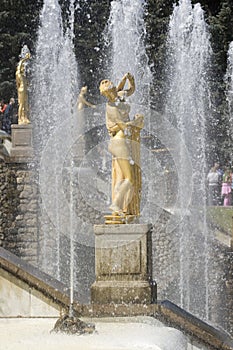 Fountain in Petrodvorets (Pete photo