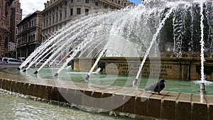 Fountain in Piazza de Ferrari, Genoa photo