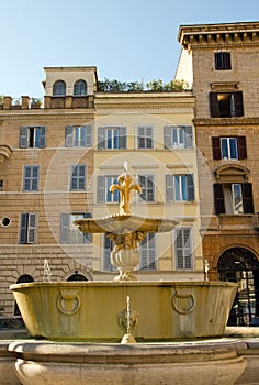 Fountain Piazza Farnese (Rome Italy)