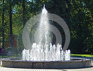 A fountain in a pine park
