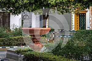 Fountain of Plaza de Dona Elvira Square at Juderia - Seville, Andalusia, Spain photo