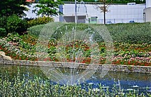 Fountain in a pond with an alley of roses in front of the Donbass Arena in Donetsk