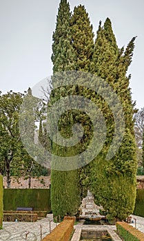 Fountain and pool in Generalife, Granada