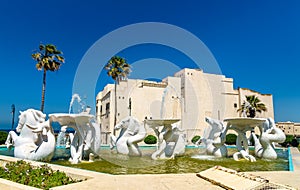Fountain and Rais Palace in Algiers, Algeria photo