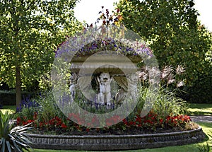 Fountain at Regent`s Park photo