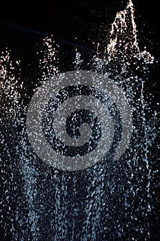 Fountain scene in garden