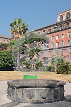 Fountain `Seashell` Fontana delle Conchiglie. Naples, Italy