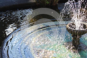Fountain with spouting water in a botanic garden
