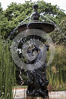 Fountain in spring among papyrus plants