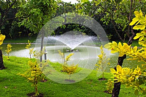 The fountain springs up into bubbles in the park