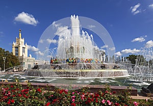 Fountain `Stone Flower` on the territory of the all-Russian exhibition center VDNH and red rose bushes around. Moscow,