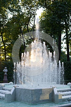 Fountain in summer garden. Saint Petersburg