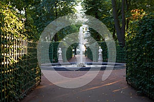 Fountain in summer garden. Saint Petersburg