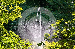 Fountain throwing drops of water behind trees in forest