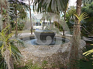 Fountain and Trees, Miami Beach Botanical Garden, Miami Beach, Fl, USA
