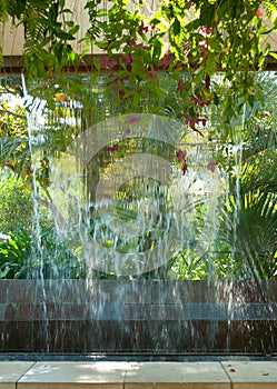 Fountain with tropical and fall foliage