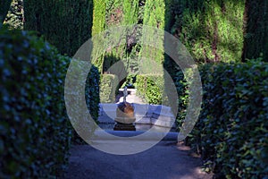 Fountain in tropical park