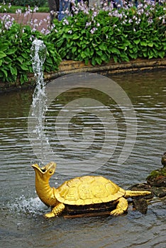 Fountain The Turtles In Petrodvorets