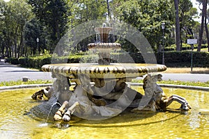 Fountain view at Borghese.