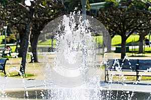 Fountain view at Golden Gate Park