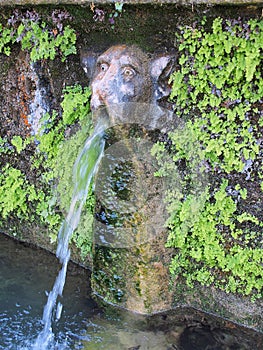 Fountain, Villa d'Este, Tivoli, Italy photo
