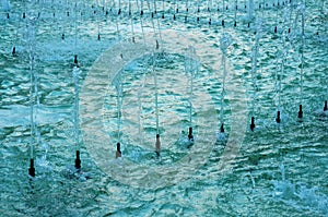 Fountain water in a park