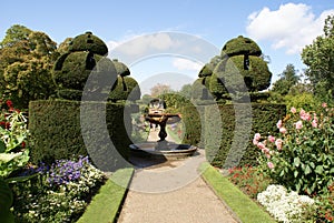 Fountain. yew topiary. topiary trees. garden