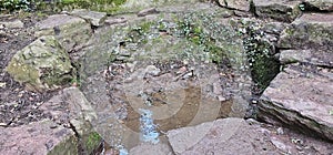 Fountain of Youth, BrocÃ©liande Forest, King Arthur& x27;s Legend photo