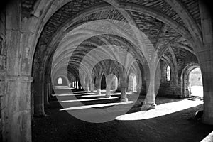 Fountains abbey