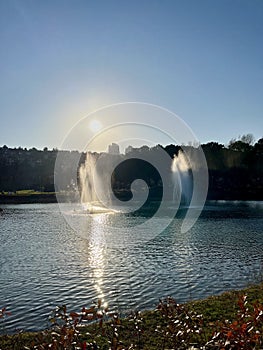 Fountains on artificial lake photo