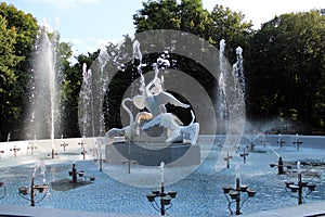 Fountains with beautiful swans in the park of Lvov