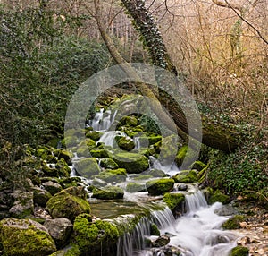 Fountains of the Cardener river at La Coma