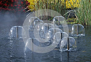 Fountains in garden pond