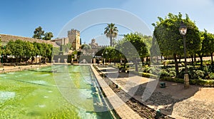 Fountains and Gardens at the Alcazar in Cordoba