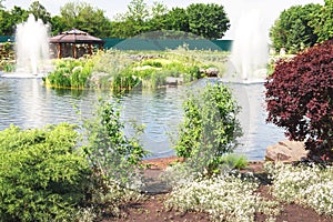 Fountains on the lake in the landscape park Mezhigirya near Kiev, Ukraine.