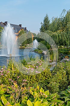 Fountains in a lake surrounded by green trees and flowers, against the background of a huge wooden cottage and a blue