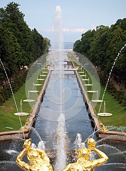 Fountains in Petergof park