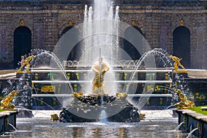 Fountains in Petergof park in Russia. Fountains Samson