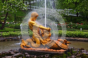 Fountains in Petergof or Peterhof park in St. Petersburg