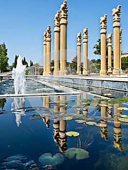 Fountains and reflecting pool