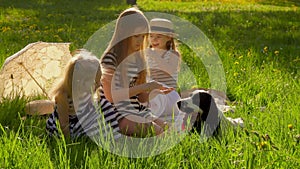 Four adorable girls are playing with a dog on the lawn in the sunlit garden