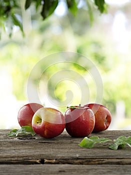 Four apples photo