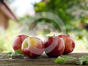 Four apples photo